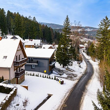 Wonder Home - Villa Vika Z Ogrodem, Z Miejscem Na Grilla I Ognisko Karpacz Esterno foto